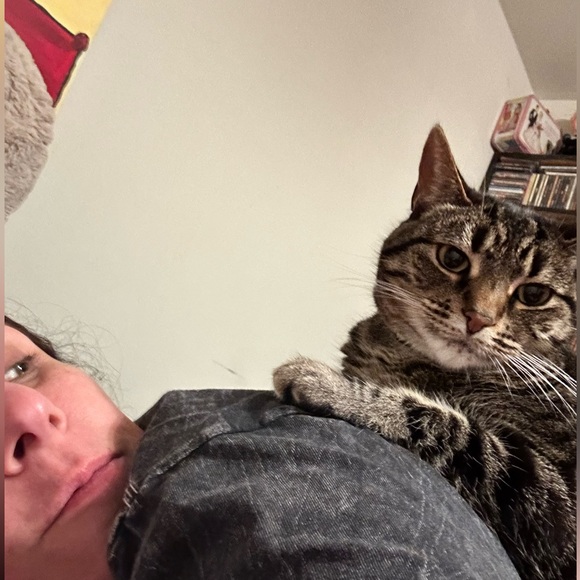 DAYNAC19 is NOW ADDICAT DESIGNS - Picture 13 of 16